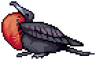 pixel magnificent frigatebird